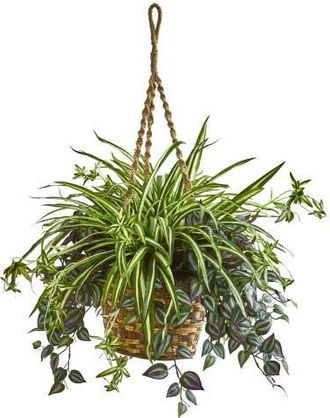 Nearly Natural 30-in Wandering Jew & Spider Artificial Plant in Hanging Basket in Green at Nordstrom