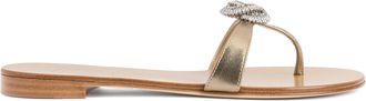 Giuseppe Zanotti Eligia