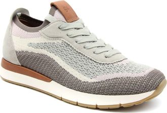 Gentle Souls Juno Knit Sneaker in Taupe Multi Knit at Nordstrom, Size 11