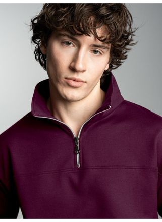 Trigema Sweatshirt TRIGEMA TRIGEMA Sweatshirt mit Reissverschluss, Herren, Gr. XXL, rot (sangria), 70% Baumwolle, 30% Polyester, Basic, Sweatshirts Sweatshirt