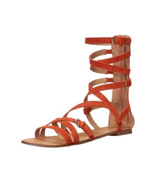 Joe's Womensteddy Gladiator Sandals In Orange