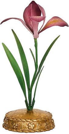 Juliska Meadow Walk Iris Place Card Holder in Pink at Nordstrom