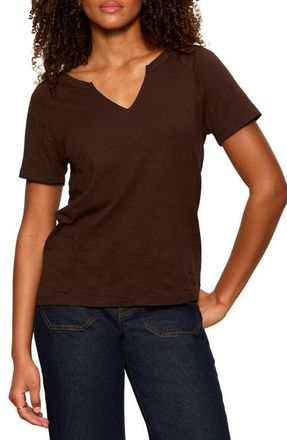 Sanctuary Notch V-Neck Cotton Blend T-Shirt in Rich Soil Brown at Nordstrom, Size Xx-Small