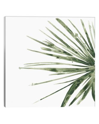 iCanvas Discontinued Icanvas Verdant Impressions Iv Minimalist Canvas Art Print