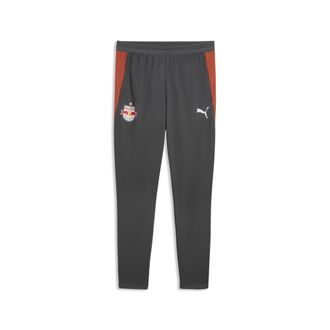 Puma Pantaloni da training FC RB Salzburg da uomo, Accessori, Grigio, 3XL