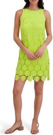London Times Lace Shift Dress in Lime at Nordstrom Rack, Size 14