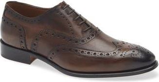 To Boot New York Angelo Brogue Wingtip Oxford in Crust Paolo Moro at Nordstrom Rack, Size 10.5