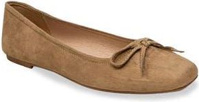 Chase + Chloe by Intouch Footwear Bow Ballet Flat in Taupe at Nordstrom Rack, Size 8.5