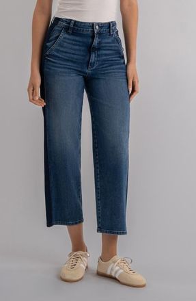 Kut from the Kloth Ashton High Waist Crop Barrel Jeans in Power at Nordstrom, Size 00
