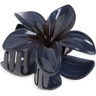 BP. Pulmeria Claw Clip in Grey at Nordstrom