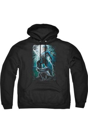 Gildan Batman Night Light Adult Pull Over Hoodie / Hooded Sweatshirt