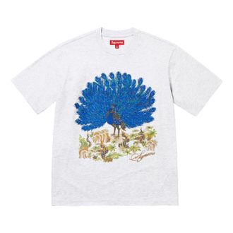 SUPREME FW25 Peacock S/S T-Shirt Ash Grey FW25KN96-ASH-GREY