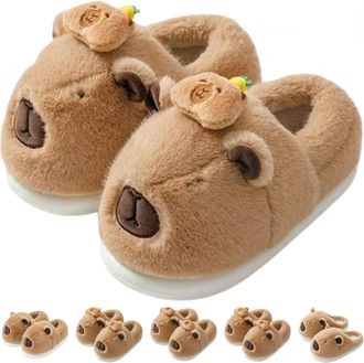Generic Cartoon Capybara Slippers For Women & Men - Soft Plush Slippers, Plush 3D Cartoon Capibara Shoes (D, One Size, Adult, Women, 9.5, Numeric Range, UK Fo