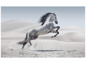 Schubiger M&ouml;bel Digitaldruck auf Glas Wildpferd