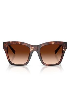 Dolce & Gabbana 53mm Square Sunglasses in Dark Red Havana /Brown at Nordstrom