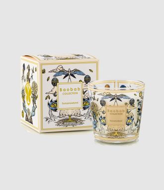 Baobab Bougie Max One Tomorrowland 2026, &Eacute;dition Limit&eacute;e