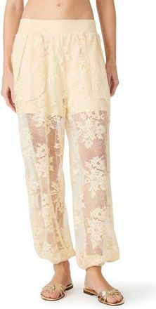 Steve Madden Faya Floral Lace Pants in Tropic Sands at Nordstrom, Size X-Small