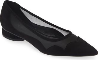 Koko + Palenki Shelby Pointed Toe Flat in Black Suede at Nordstrom, Size 10