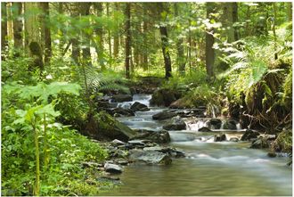 Schubiger M&ouml;bel Digitaldruck auf Acrylglas Flusslauf im Wald 1