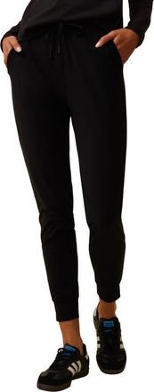 Greyson Phoenix Joggers in Shepherd at Nordstrom, Size X-Small