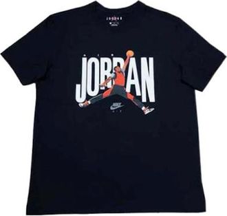 Nike Jordan Air Jordan Logo Tee DH9519-010