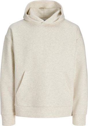 Jack & Jones Jack & Jones hoodie