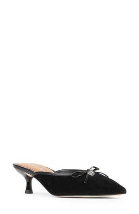 Donald J Pliner Soel Kitten Heel Mule in Black at Nordstrom Rack, Size 10