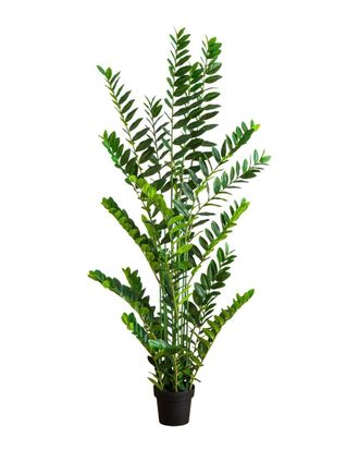 Nearly Natural 6Ft Artificial Zamioculcas Plant
