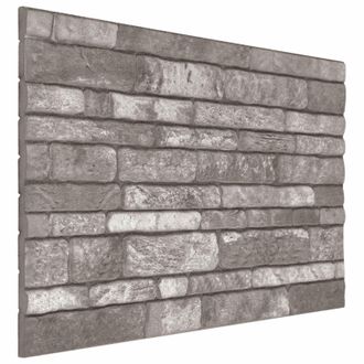 vidaXL Paneles De Pared 10 Pcs Gris Oscuro 100 X 50 Cm Espuma Eps Vidaxl