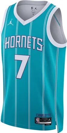 Nike Jordan Mens Charlotte Hornets Icon Edition Jordan Dri-FIT NBA Swingman Jersey in Blue | DN1998-424