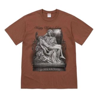 SUPREME FW26 Tears T-Shirt Brown FW26T66-BRN