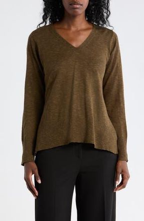 Eileen Fisher Organic Linen & Organic Cotton V-Neck Sweater in Branch at Nordstrom Rack, Size Xx-Small