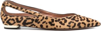 Aquazzura Ballerine con stampa - Marrone