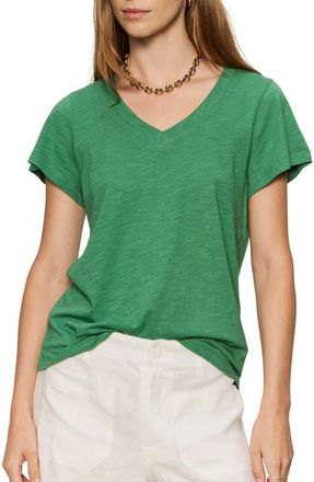 Sanctuary V-Neck T-Shirt in Green Juice at Nordstrom, Size X-Small