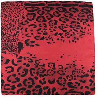 Dolce & Gabbana Scarves