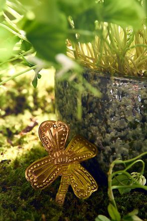 Terrain Lucky Clover Embossed Brass Charms, Set of 4