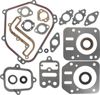 OEM Juego Juntas Motor Briggs Et Stratton 791797