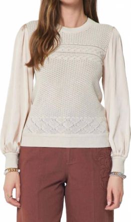 Current Air Pointelle Knit Mixed Media Top In Cream