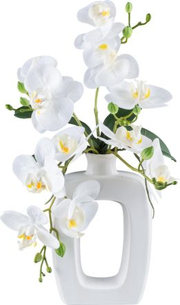 My Home Kunstpflanze »Orchidee Phalaenopsis« im Design-Gefäss