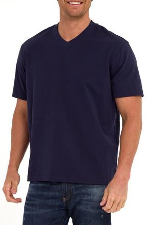 Threads 4 Thought Roger Relaxed Fit V-Neck Cotton Jersey T-Shirt in Stargazer at Nordstrom, Size Xx-Large