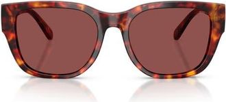 Diesel 53mm Square Sunglasses in Havana Brown/Dark Violet/Red at Nordstrom