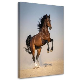 Feeby Cuadro En Lienzo, Caballo Galopando En Arena, 70x100