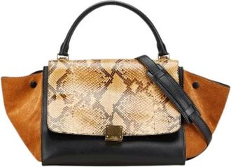 Celine Pre-owned Handbags, female, Multicolor, Size: ONE SIZE Pre-owned Leather Handbag