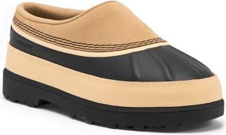 Sorel Ambler Waterproof Clog in Caribou Buff/black at Nordstrom, Size 5.5