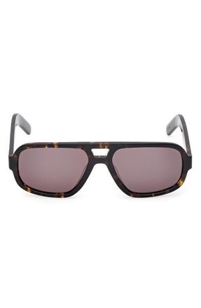 adidas 55MM Navigator Sunglasses in Dark Havana /Brown at Nordstrom