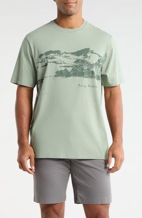 Tommy Bahama Vacation Visions Cotton Graphic T-Shirt in Oxidize Metal at Nordstrom, Size 3Xlt