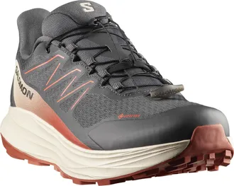 Salomon Trailrunningschuh SALOMON ALPHARIDE 2 GORE-TEX, Herren, Gr. 42,5, asphalt, arabian spice, rainy day, Synthetik, Textil, Schuhe Trailrunningschuh, wass
