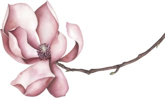 Queence Wandtattoo »Sabrina« Wandbild, Sticker, rosa, Blume, Blüte, selbstklebend