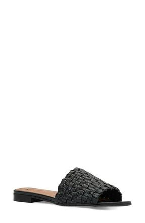 Aquatalia Brunello Weatherproof Slide Sandal in Black Woven at Nordstrom, Size 10.5