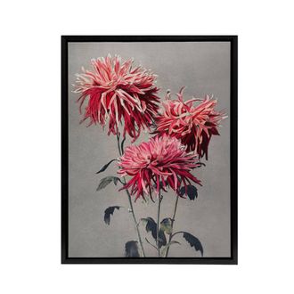Artery8 Pink Chrysanthemum Flowers Framed Canvas Wall Art Print Ogawa Kazumasa | Size: W24 x H32